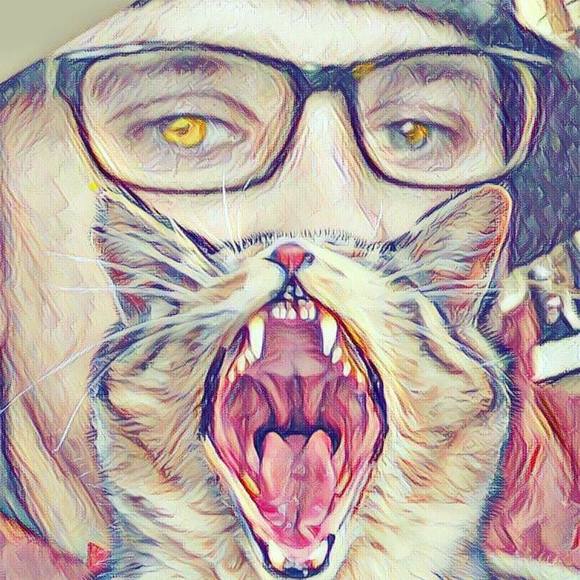 Meet your Posher, Codee - Picture 1 of 1